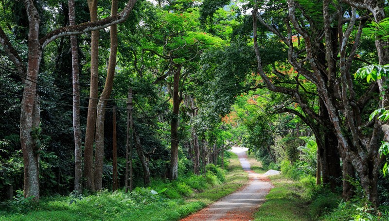 Diem du lich lang man gan Ha Noi cung nang dip 20/10-Hinh-7